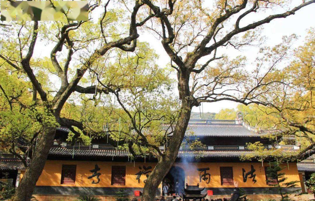 法雨禅寺 法雨禅寺又称后寺 在普陀山白华顶左,光熙峰下 全寺依山取势