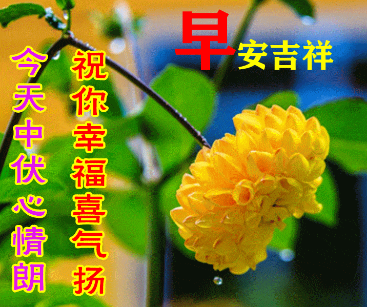 21年最美早上好图片,周二早上好表情图片 7月21日中伏最漂亮早上好动态表情图片大全,早晨好动图美图大全