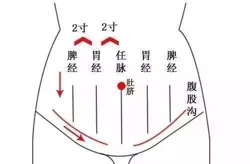 3,中里巴人推腹法 用手指,手掌,拳头皆可:由心窝向下推到小腹,由