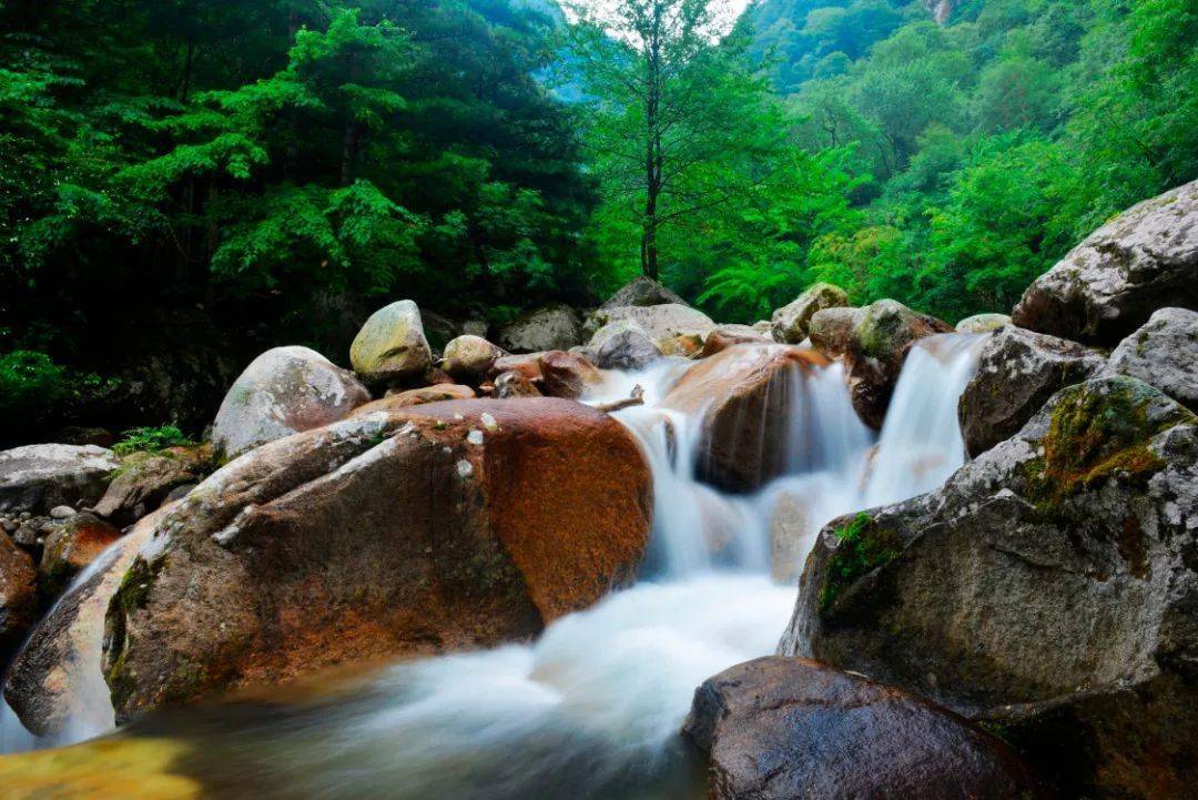 清凉宝鸡|伏天避暑,一起拥抱青峰峡19°的清凉盛夏