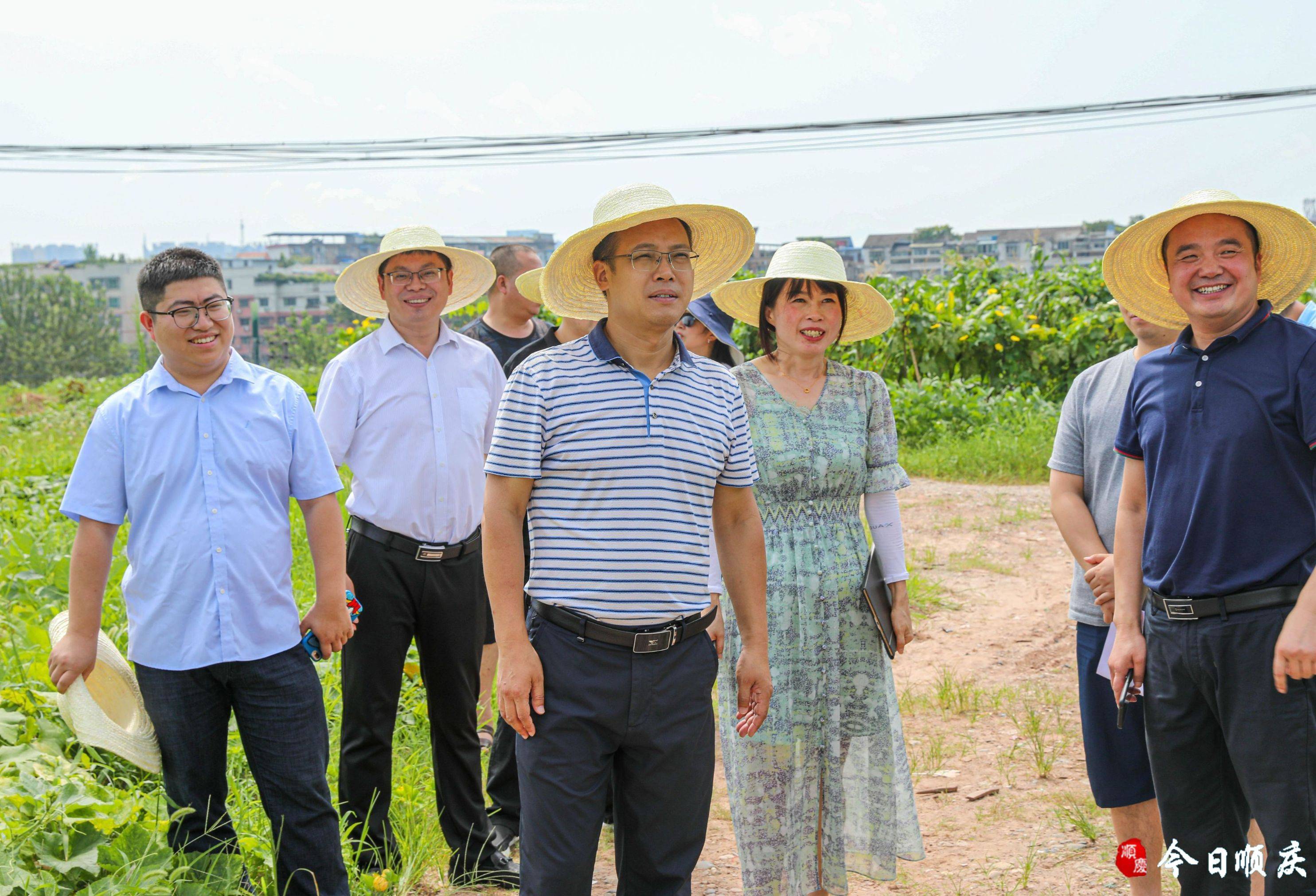 唐粼波:科学制定提升改造方案 擦亮西山风景区文化品牌