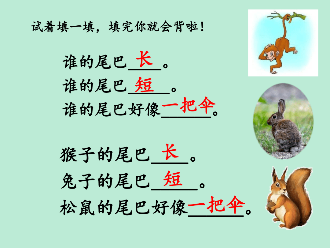 【教学设计ppt】比尾巴