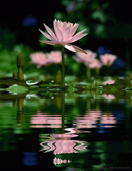 452_582 竖版 竖屏