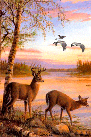 320_480 竖版 竖屏 