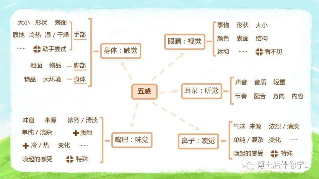 思维导图用于五感写作法