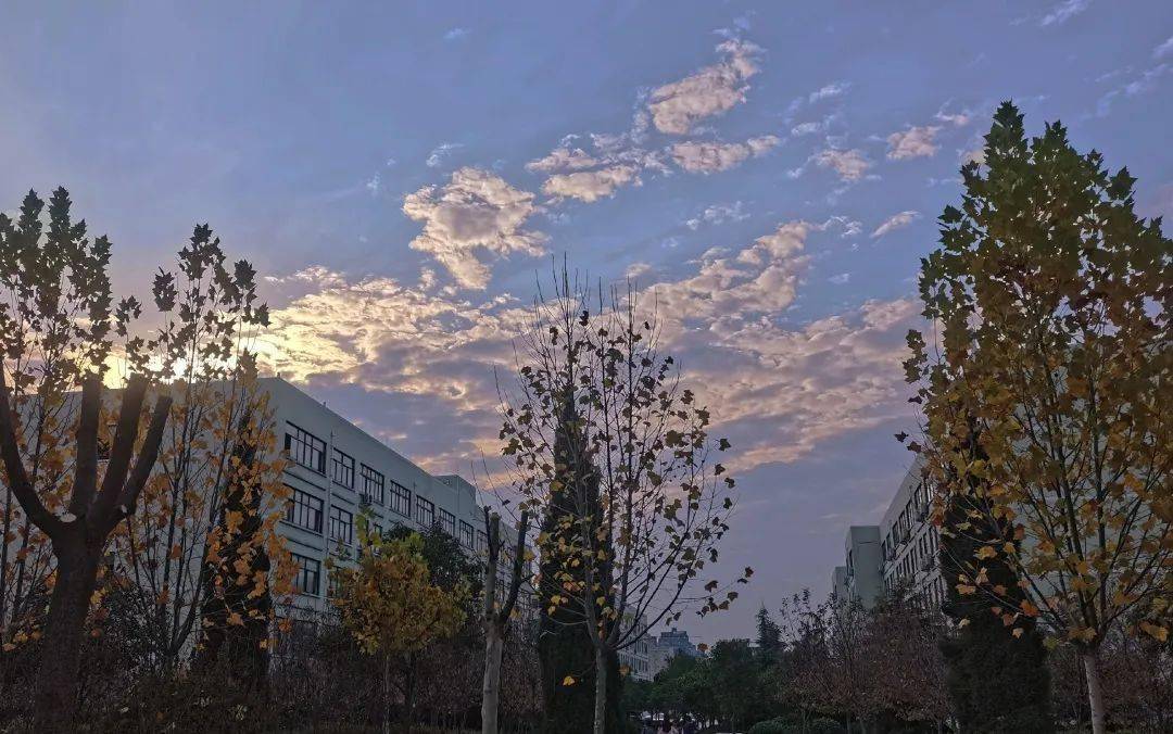 来到郑州经贸学院你一定会经历这些事