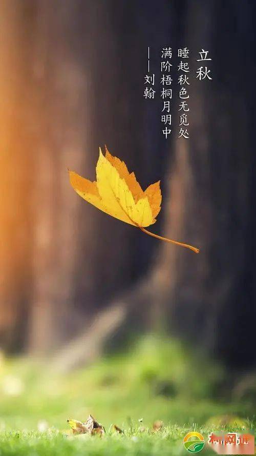 8月7号立秋,农村老话说立秋要"三不做,三不吃",具体指