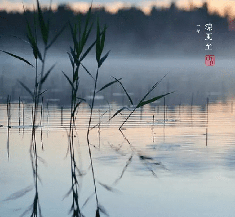 而秋明空旷,野色浩无主,也才秋波横流,秋爽媚人,秋怀难耐.