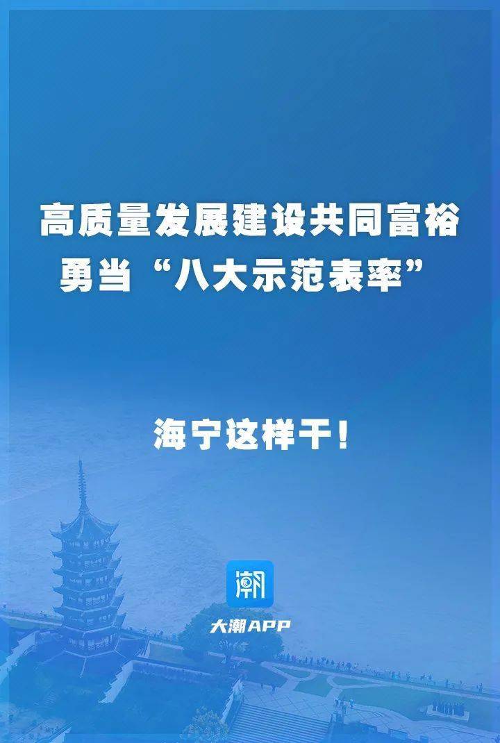 十次全体会议召开 审议通过了《海宁市勇当高质量发展建设 共同富裕