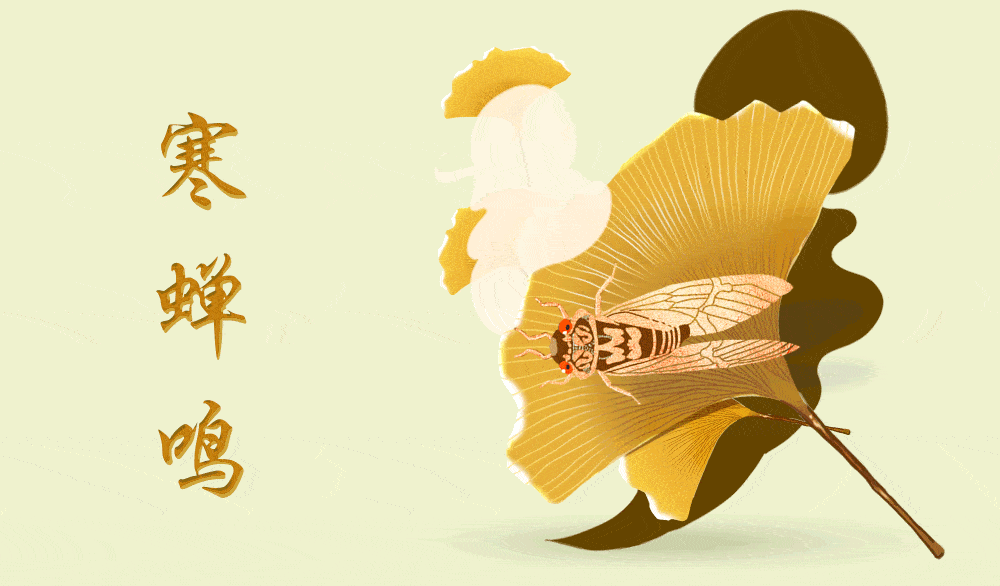 立秋,二十四节气中的第十三个节气.秋者阴气始下,故万物收.