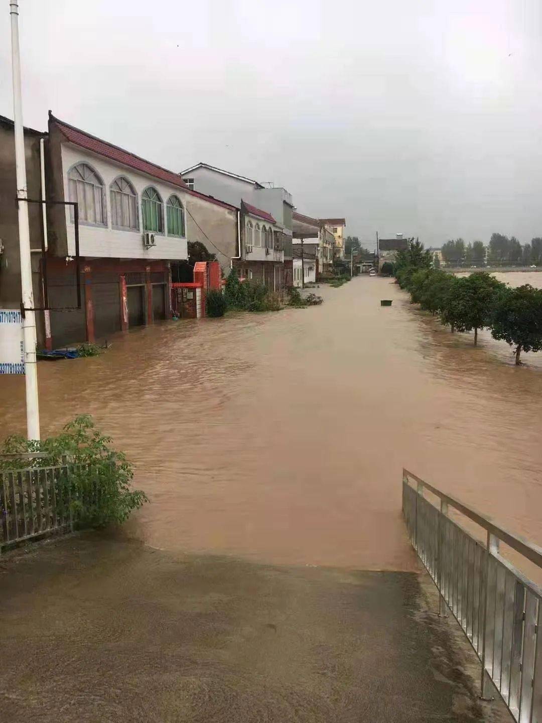 暴雨随州防汛应急响应提升至Ⅲ级多个乡镇现场视频图片流出