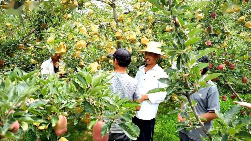 "柴满应同志完成了上个月'我为群众办实事'承诺事项,目前在我们支部的