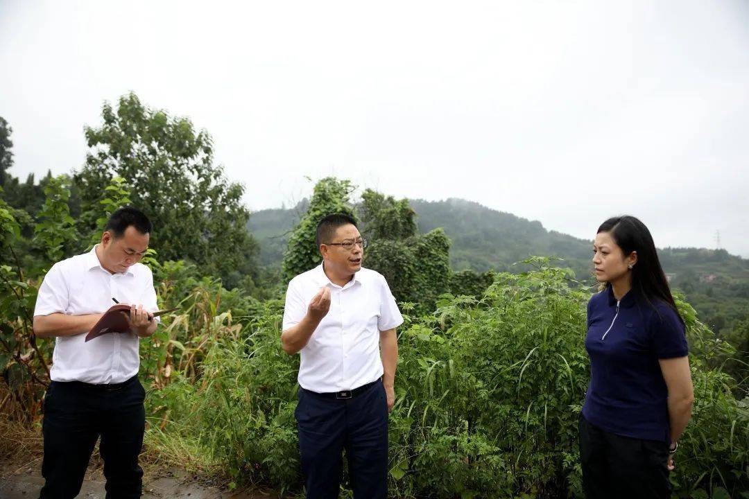 向建平四不两直暗访防汛减灾