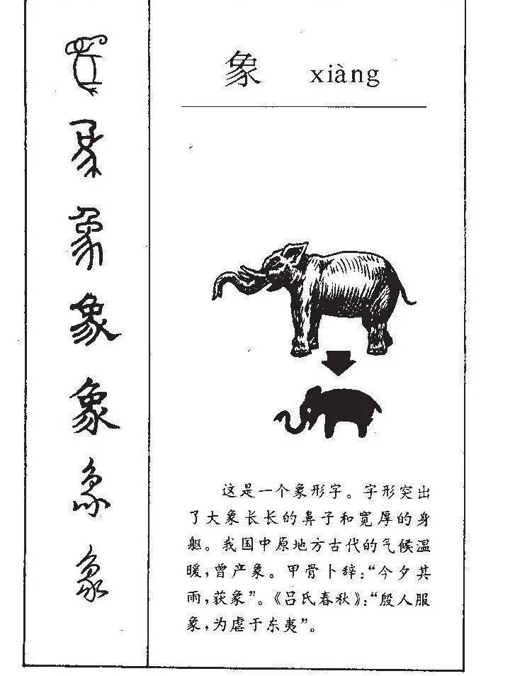 他认为,小篆的"象"字,就是以简笔画的方式描绘了大象.