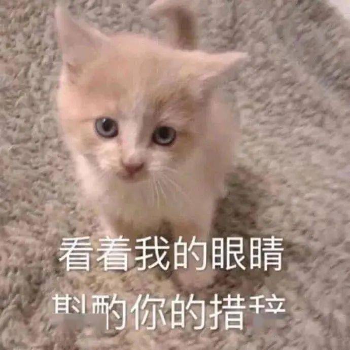 表情包_头像
