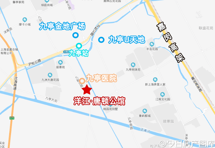 松江九亭新盘洋江唐顿公馆实探