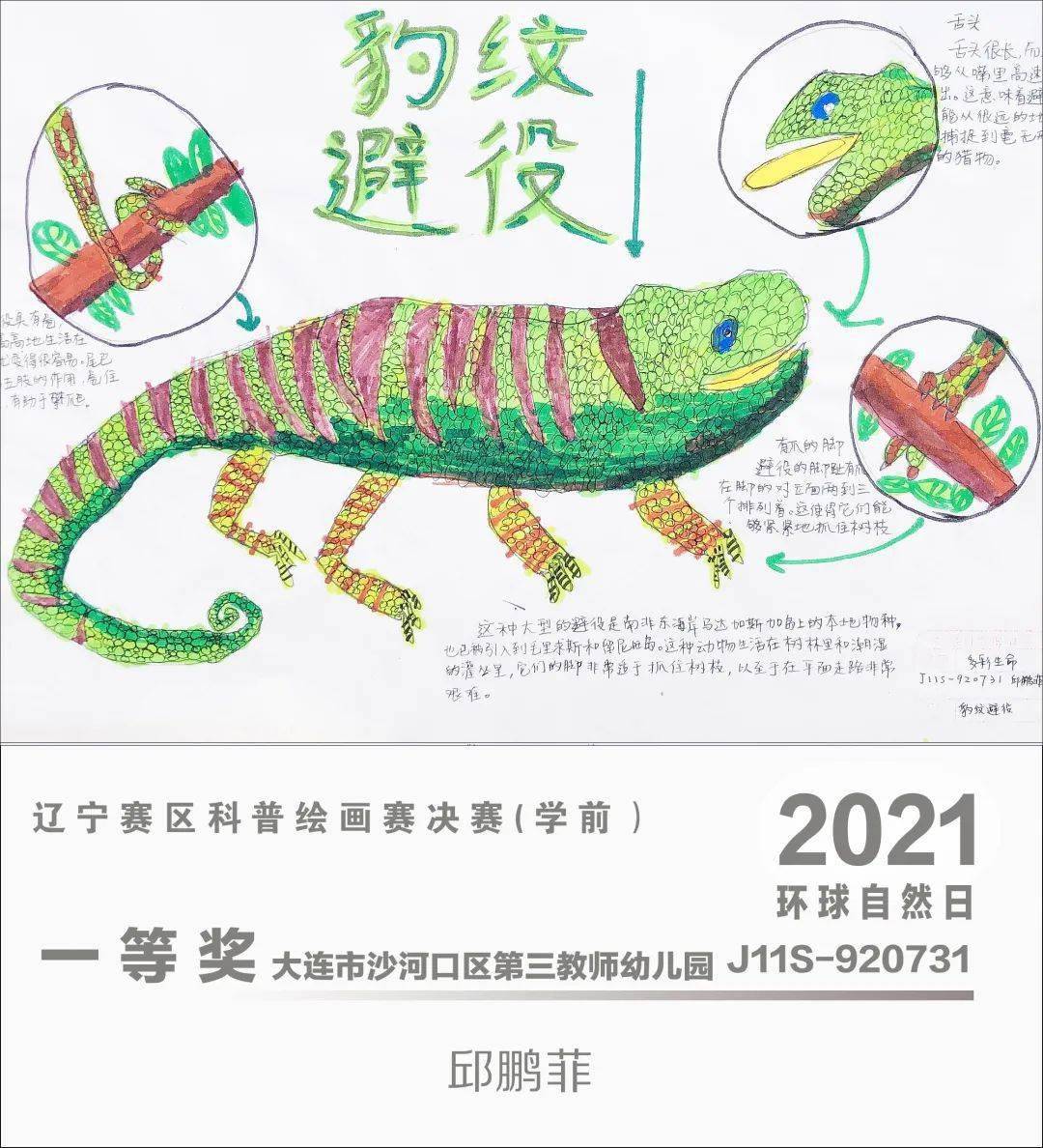 环球自然日2021辽宁赛区科普绘画赛优秀作品赏析