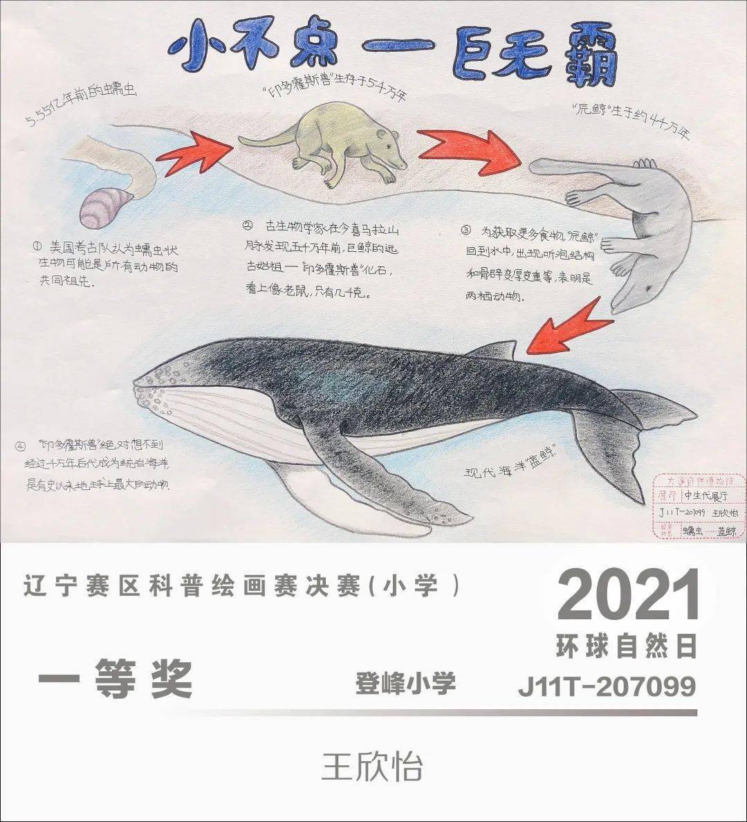 环球自然日2021辽宁赛区科普绘画赛优秀作品赏析