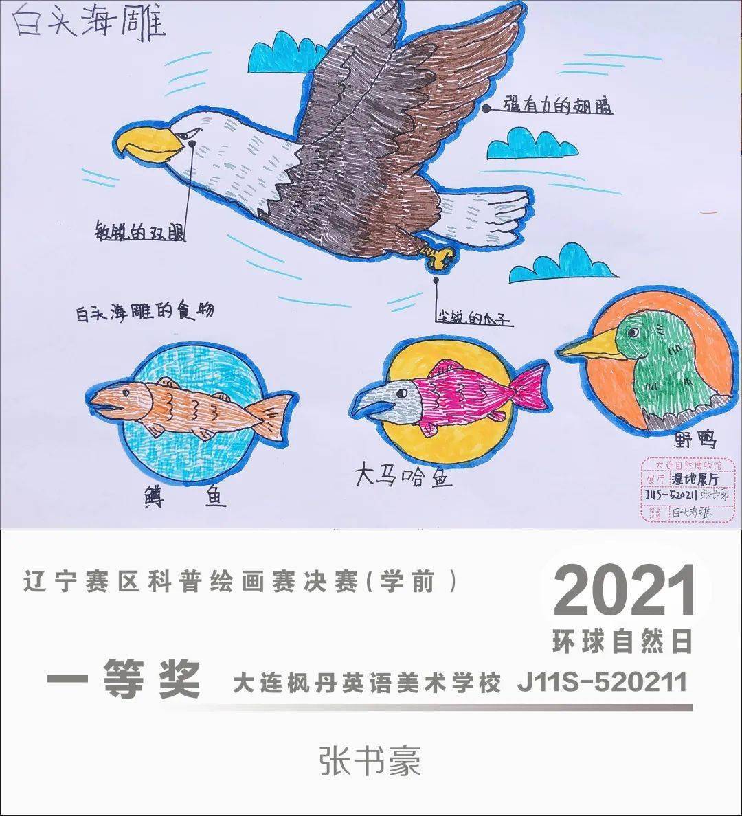 环球自然日2021辽宁赛区科普绘画赛优秀作品赏析