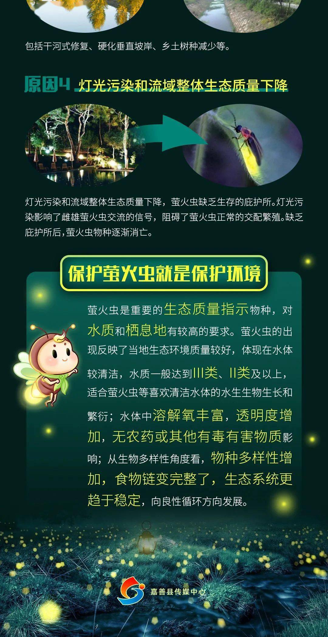 科普| 一图读懂萤火虫