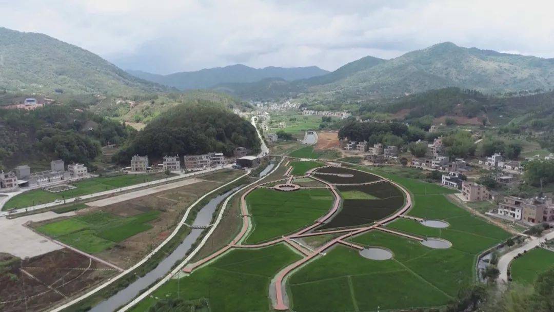 紫金这个基地成美丽乡村网红打卡点