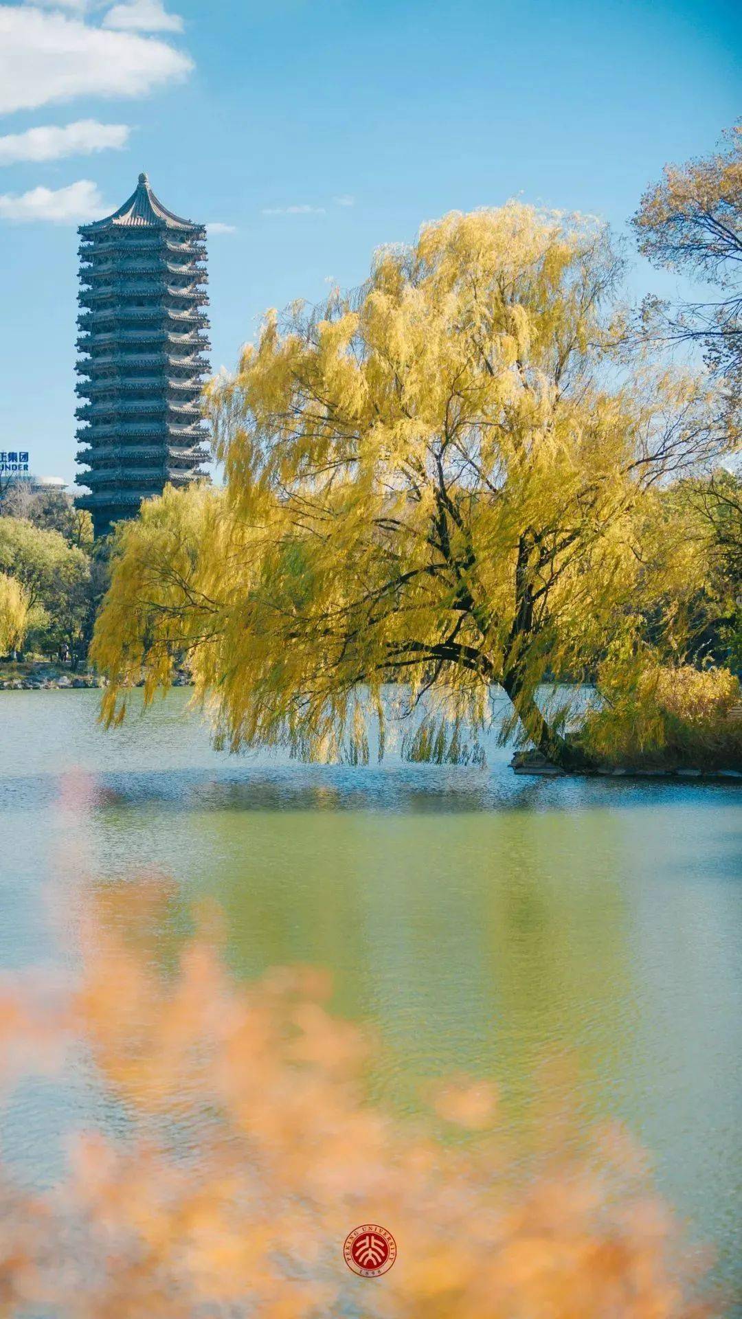 你的理想大学, 被做成手机壁纸了!自取!