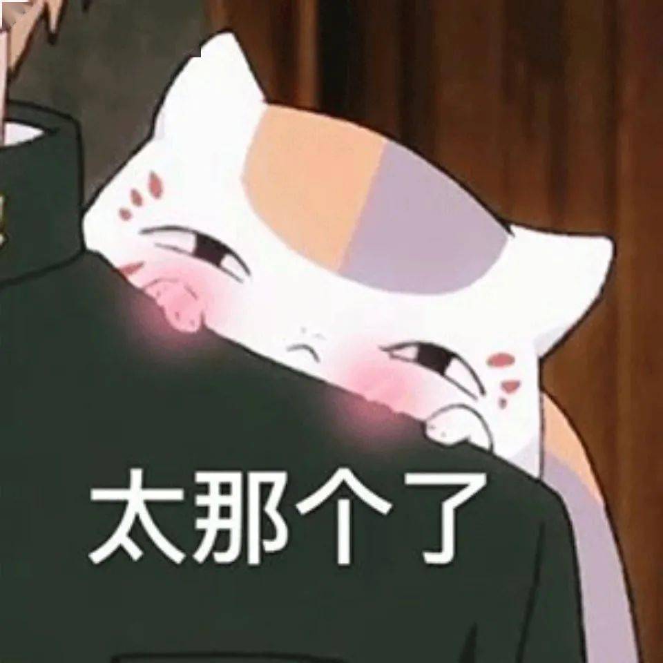 超可爱猫咪老师表情包芜湖开心到起飞