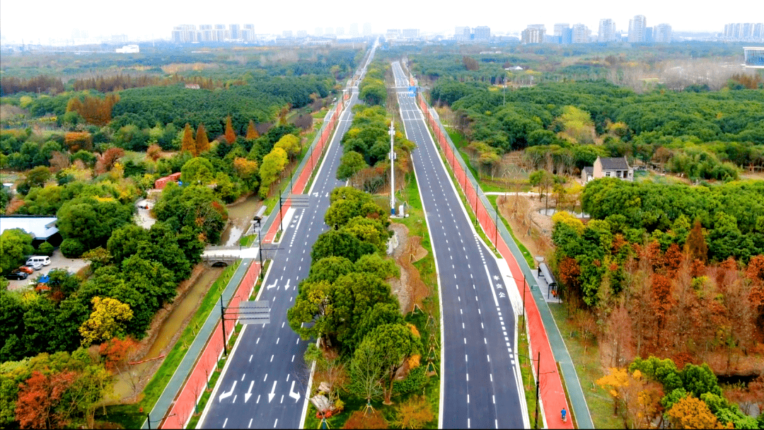 望园路森林大道,北起东方美谷大道,南至航南公路,2019年5月开工,2019