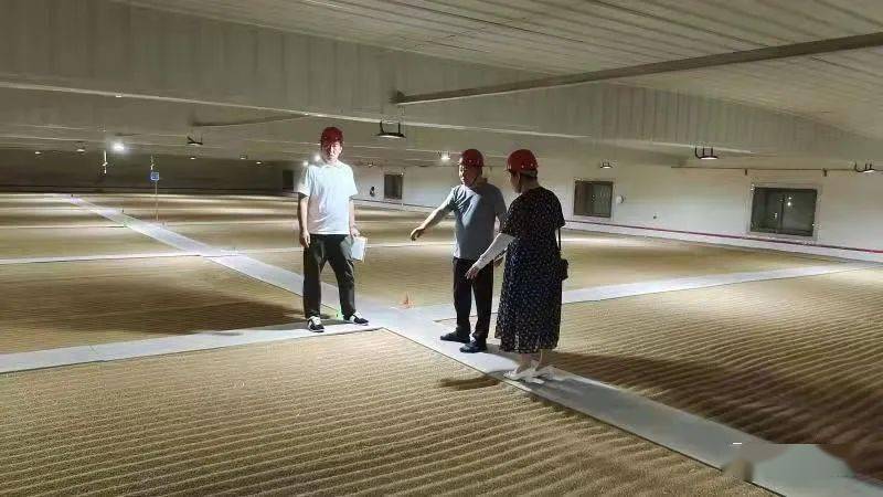 审计动态粮食进仓廒宛如育婴房粮食安全政策落实情况审计启示一