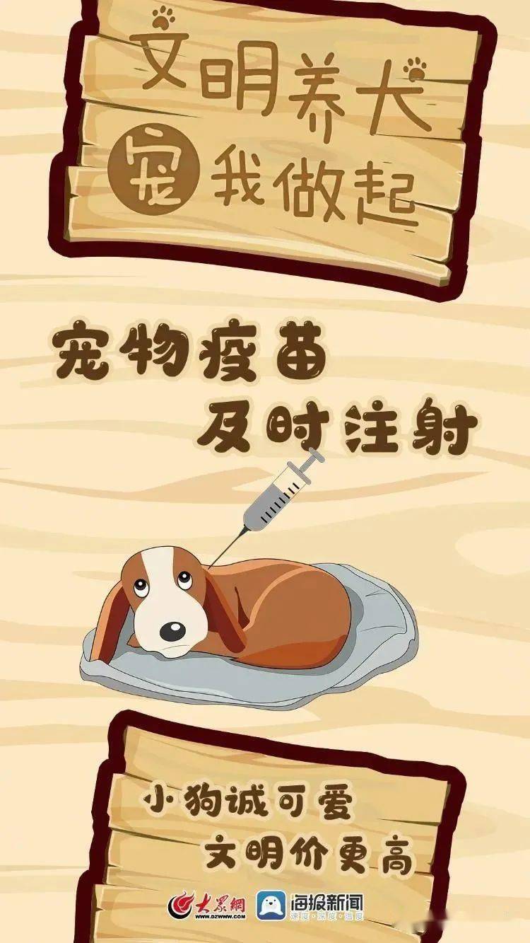 【创城进行时】牵紧"文明绳" 做文明养犬人