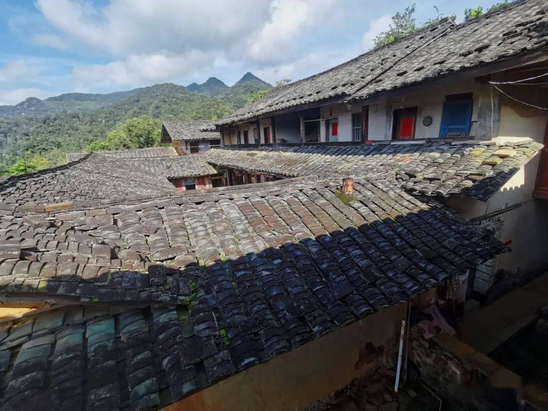 南坑:成立树海翻身楼青少年教育基地_北坑