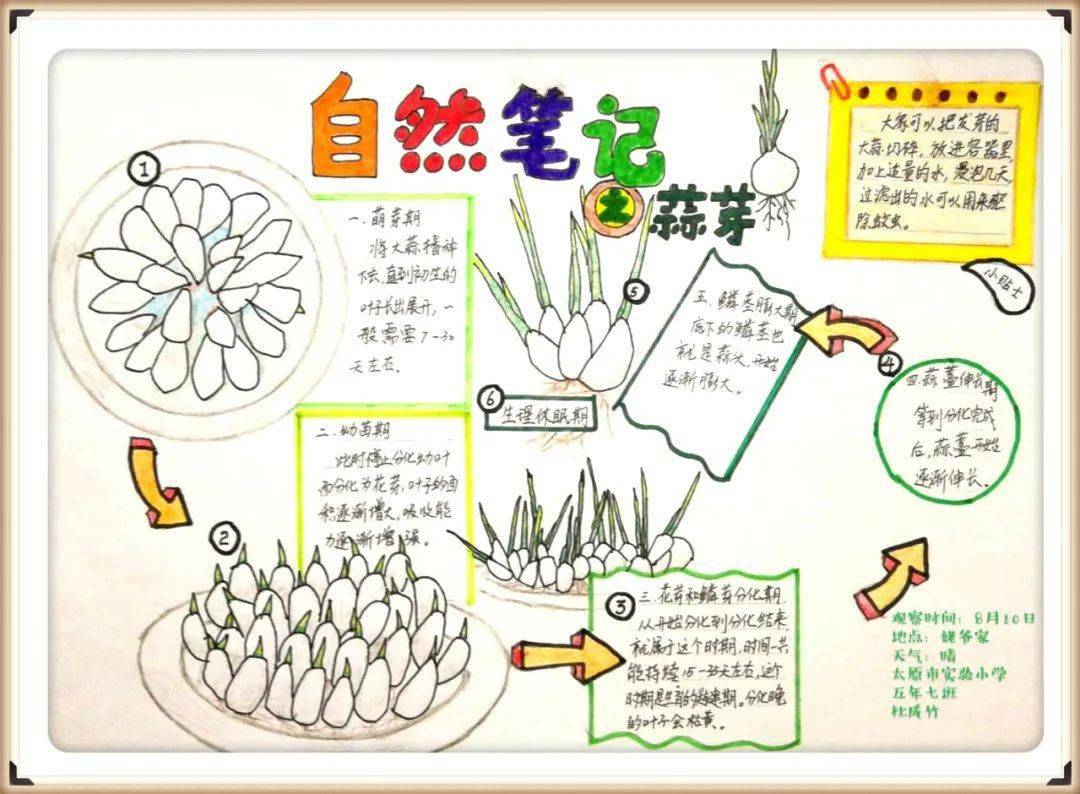 【生物多样性看山西】| 自然笔记大赛作品展(六)