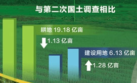 全国耕地10年减少1亿多亩,减少的地去哪了?