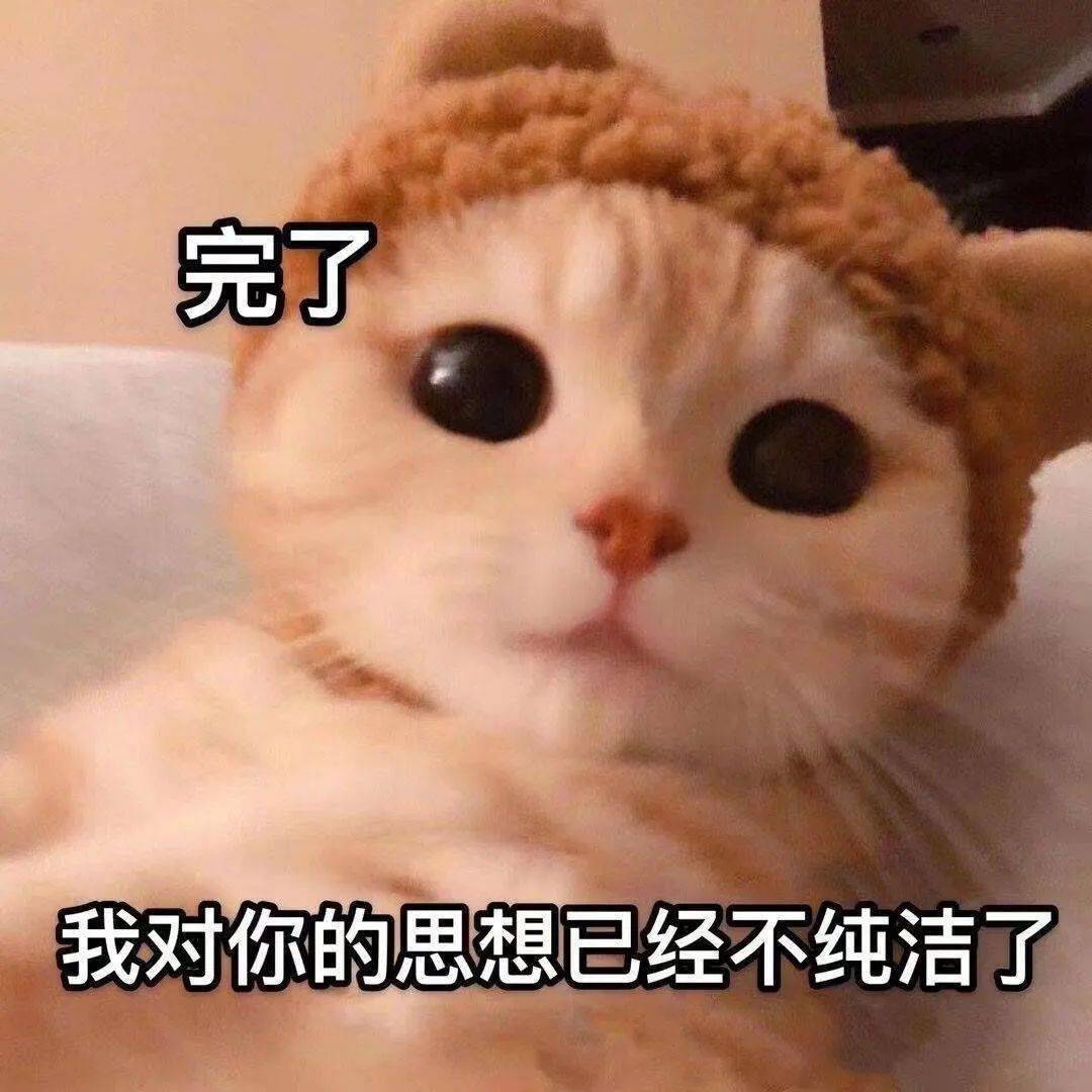 撒娇卖萌必备猫猫表情包~日后总有一天能用上!收藏了准没错!