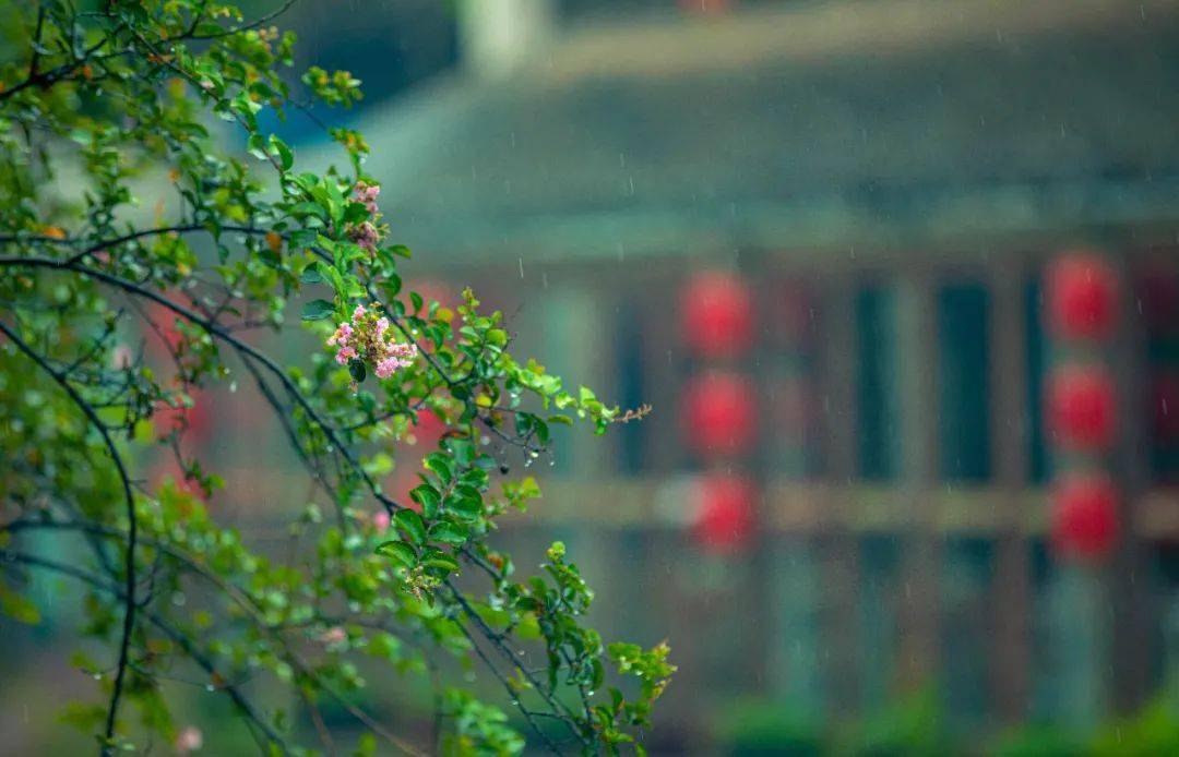 运河风情游 半城烟雨始入画,我们一起听听初秋古城台儿庄雨里的声音
