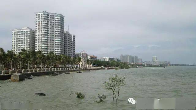 9月1112号起每周末中国第一长滩东海岛湛江滨海公园休闲2日活动可露营