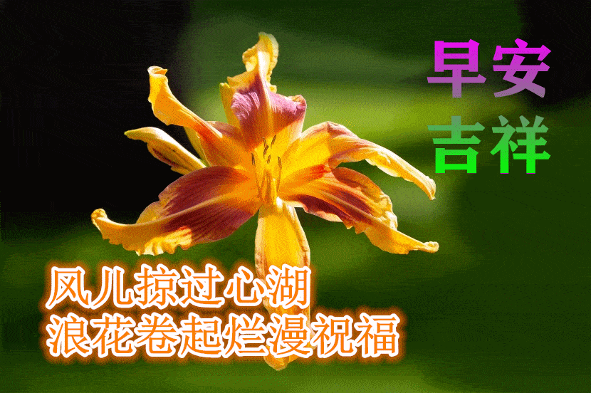 9月4日最漂亮早上好动态表情图片大全,早晨好动图美图