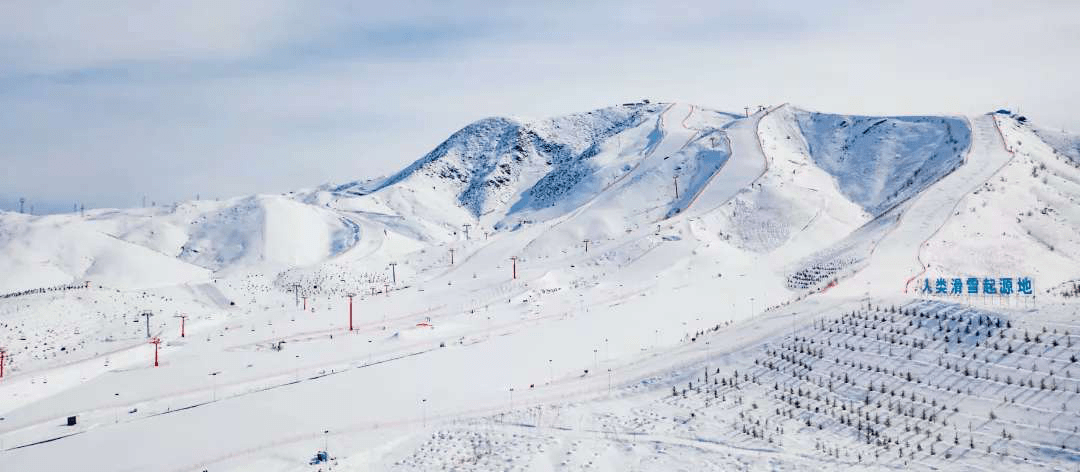 为什么这么多专业的滑雪爱好者都涌向新疆阿勒泰