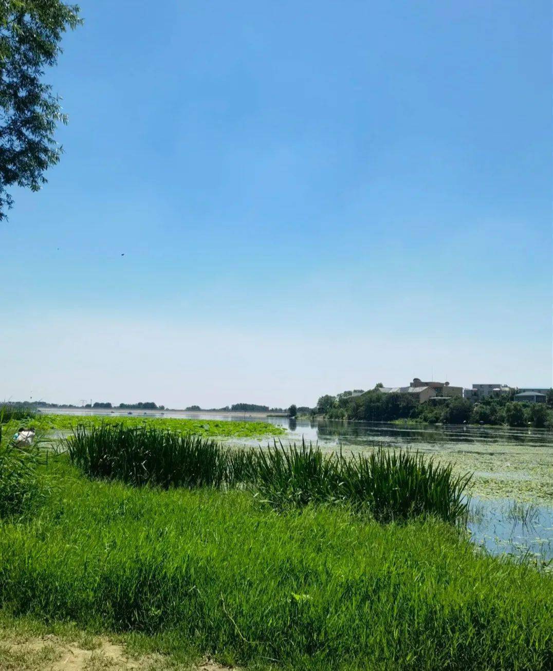 北京十大湿地公园,观鸟,垂钓,骑行.现在去刚刚好!