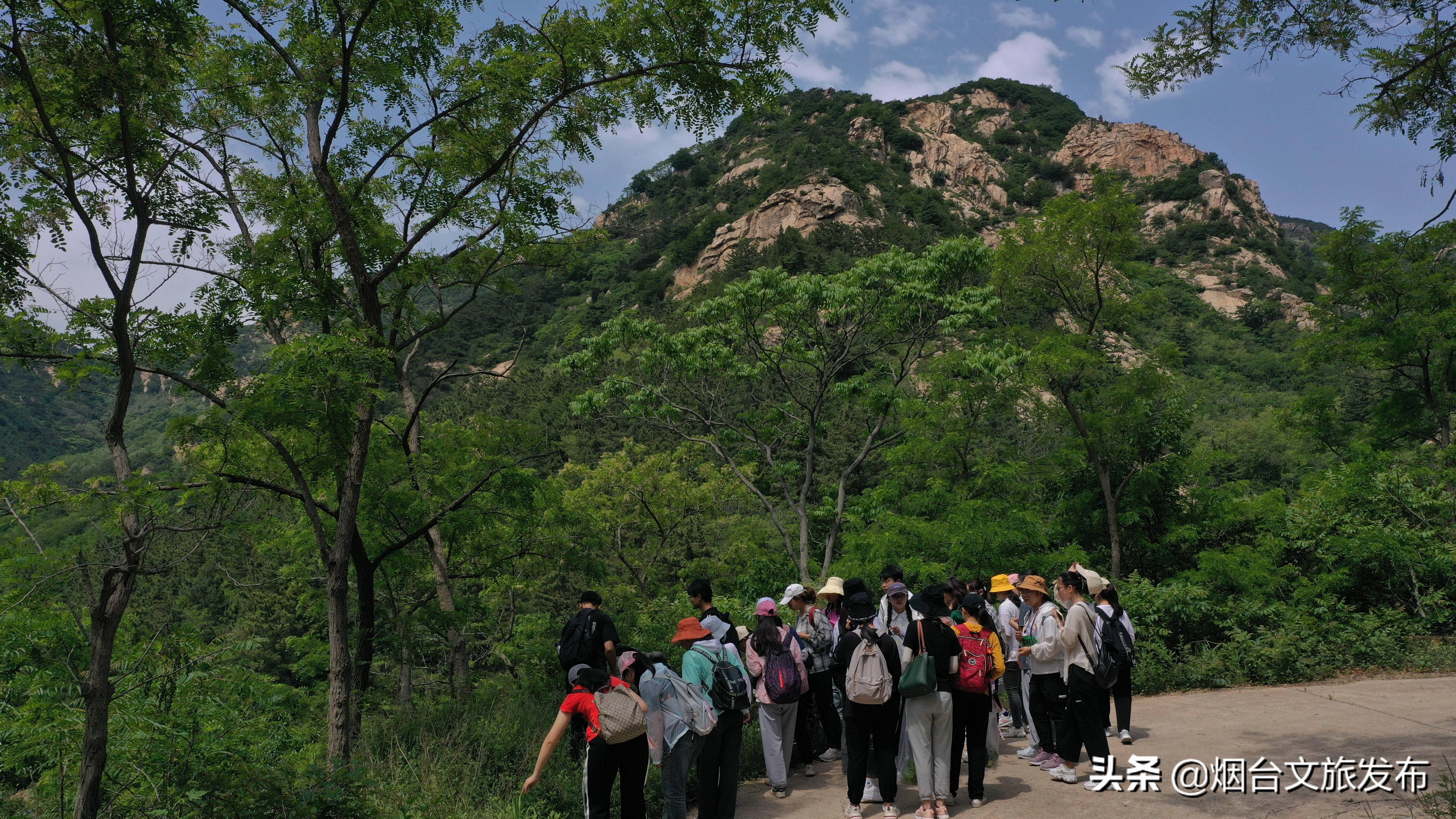 入秋的招远罗山国家森林公园,惬意宁静