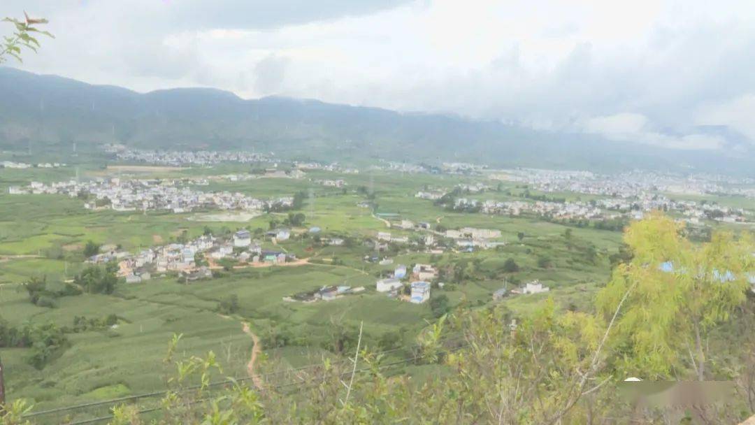 保山| 蒲缥王头寨:石榴丰收 助推乡村振兴!