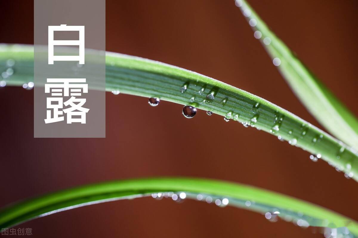 农村有"白露逢月头,来年必定愁"说法,今年白露正逢月头,怎样