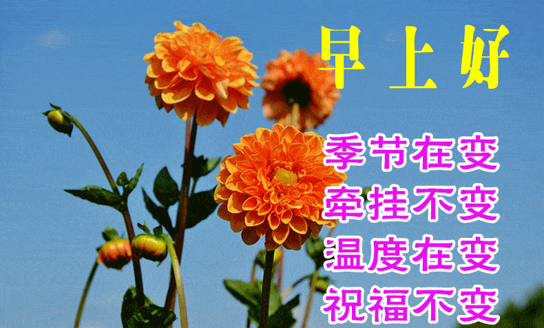 9月7日早上好动态表情图片大全,早晨好动图美图大全