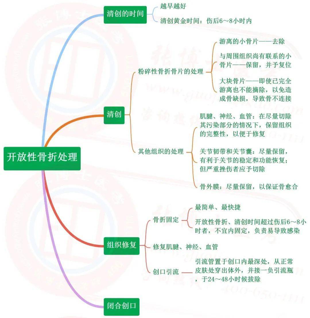 【临床】运动系统-思维导图