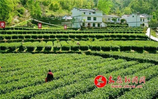 发布公告公示 安康共3个村被拟认定为 全国乡村治理示范村 汉阴县城关