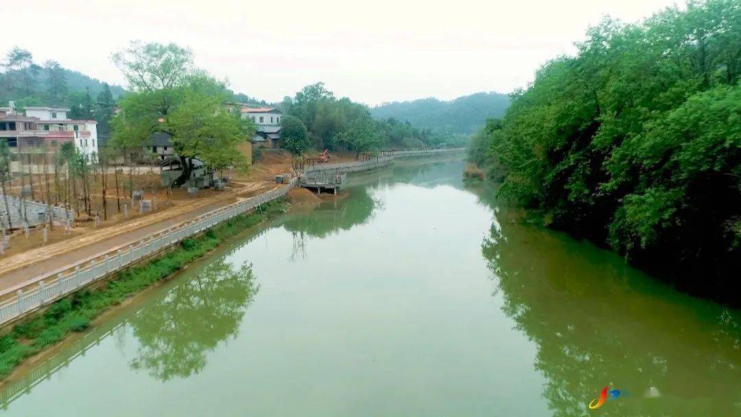 和平县全面落实河湖长制,全力打造河畅,水清,堤固,岸绿,景美的健康河