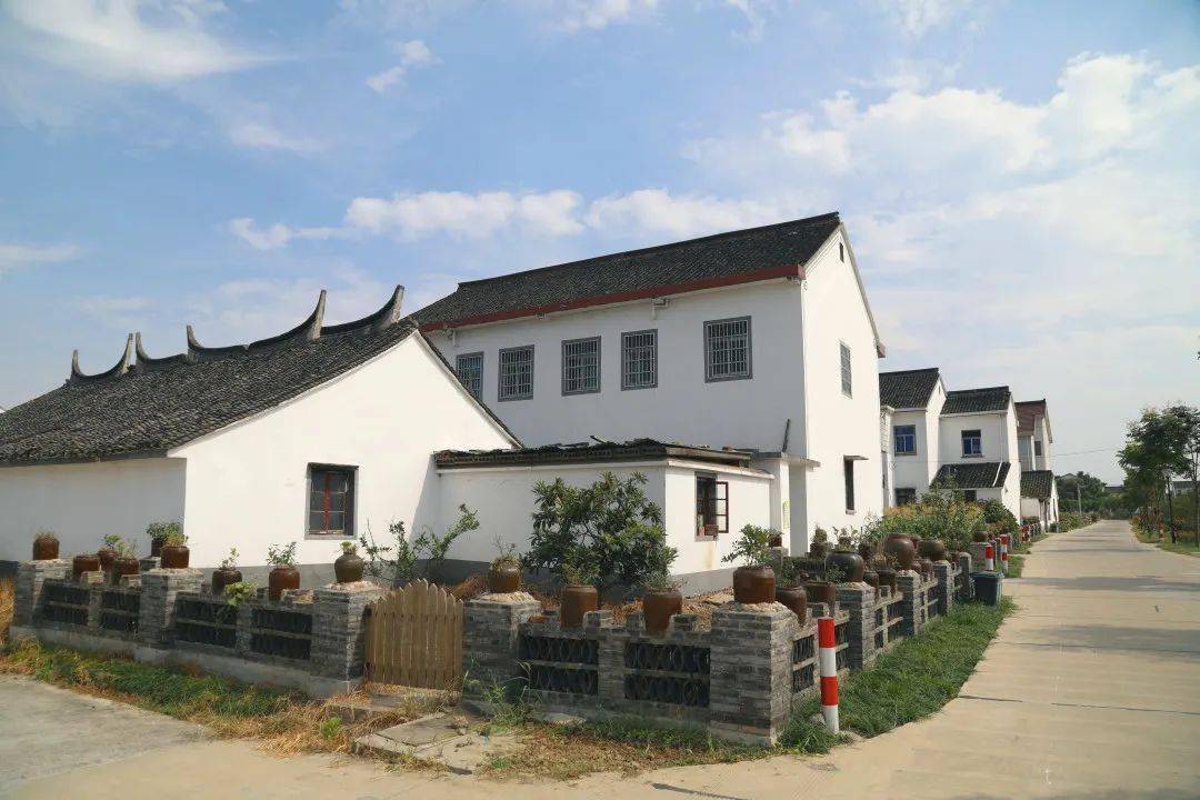 乡村振兴看秀洲丨古窦泾村聚焦三点全面推进乡村振兴