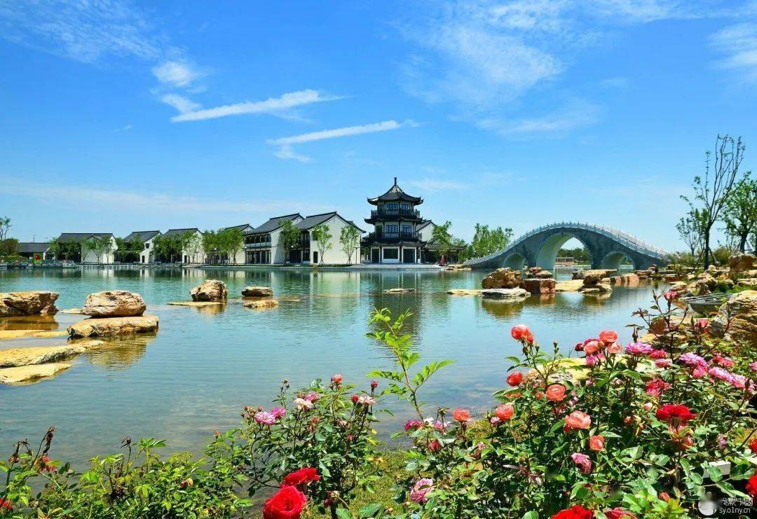 "魅力南阳新城区"摄影暨短视频大赛采风第6站:南阳世界月季大观园暨