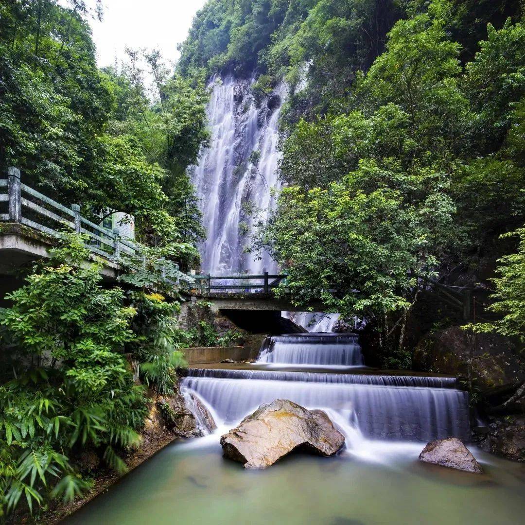 游"广东九寨沟"四会奇石河瀑布森林风景区,六祖寺,品茶油鸡特色宴