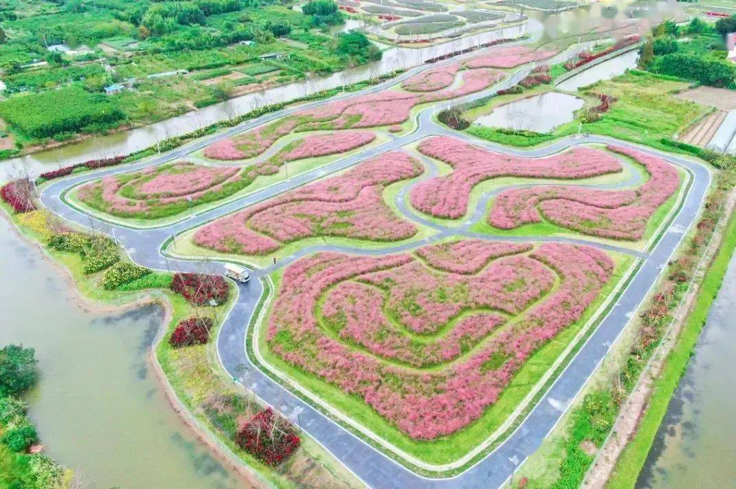 10元购60元周浦花海门票